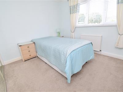 Picture 7